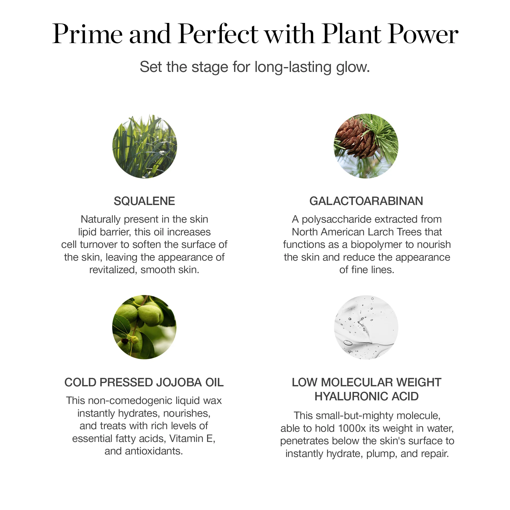 Activated Botanical Primer - Image 8