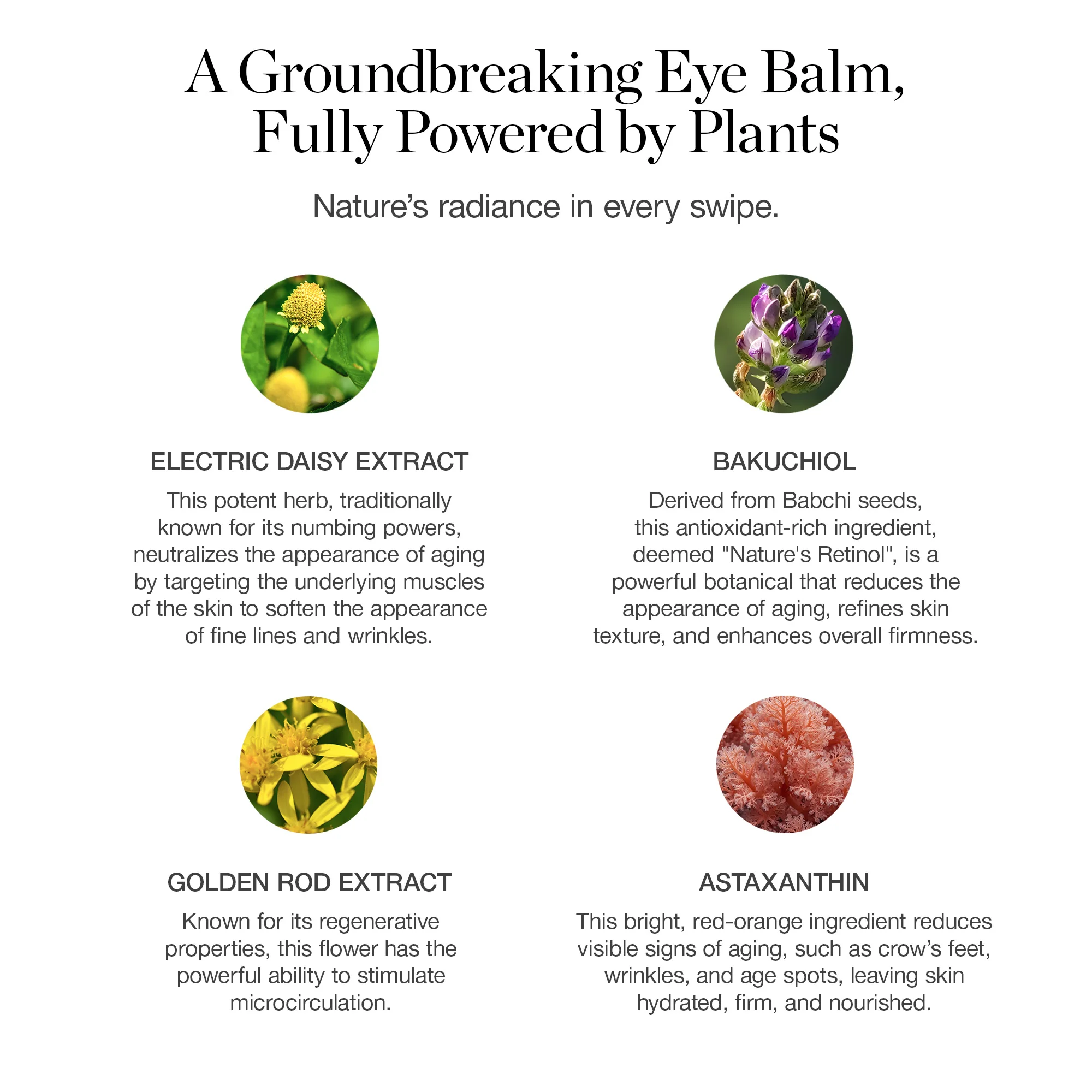 Brightening Botanical Eye Balm - Image 5