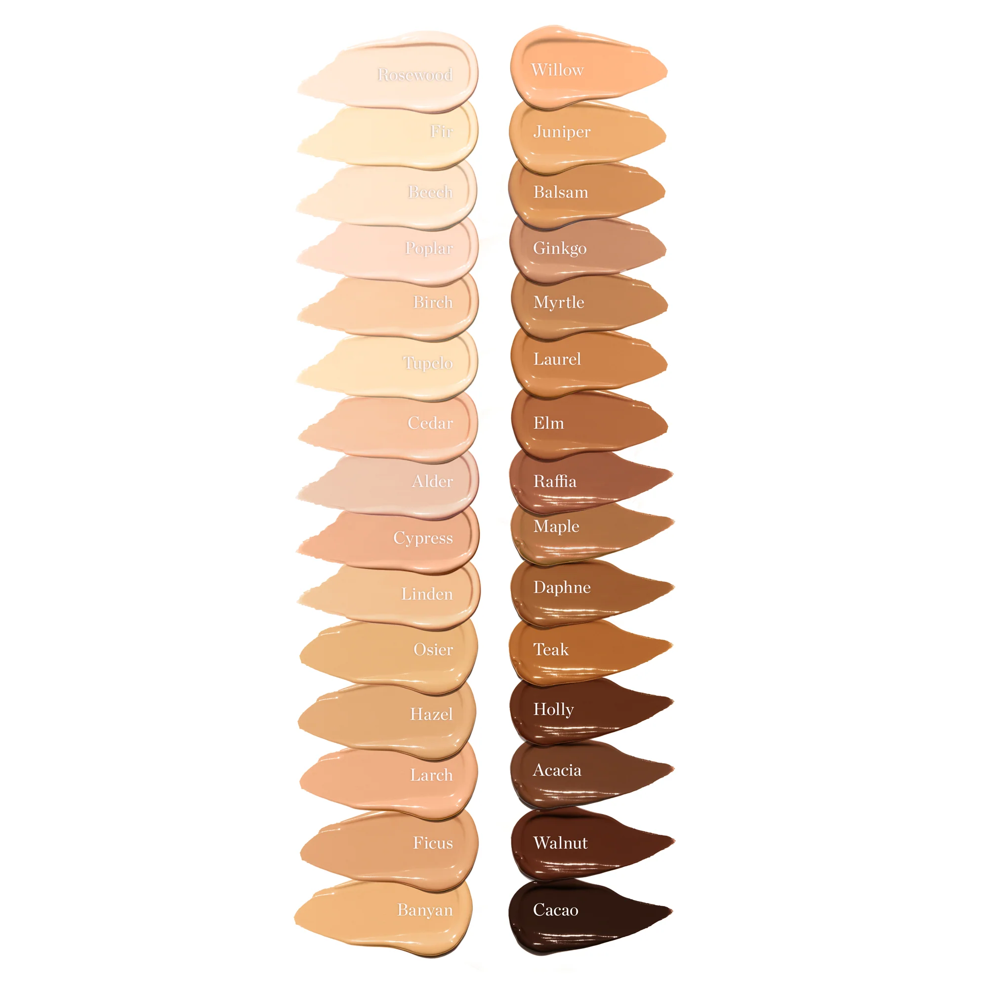 Complexion Perfecting Concealer - Image 142