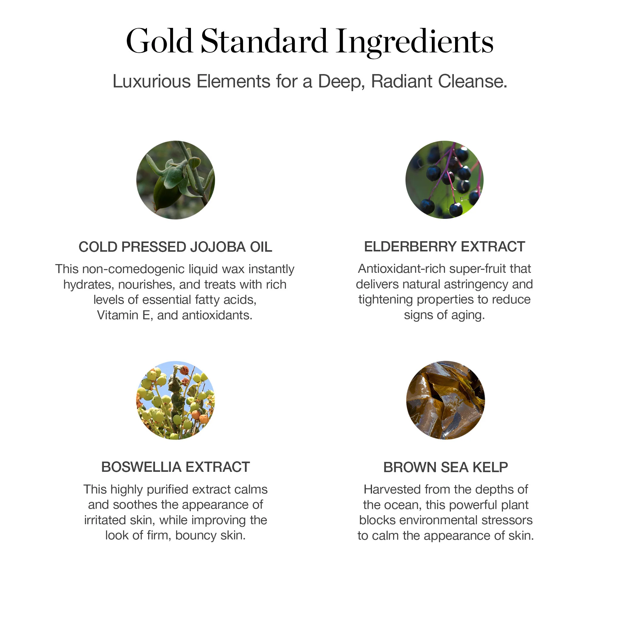 Liquid Gold Cleansing Oil - Image 5