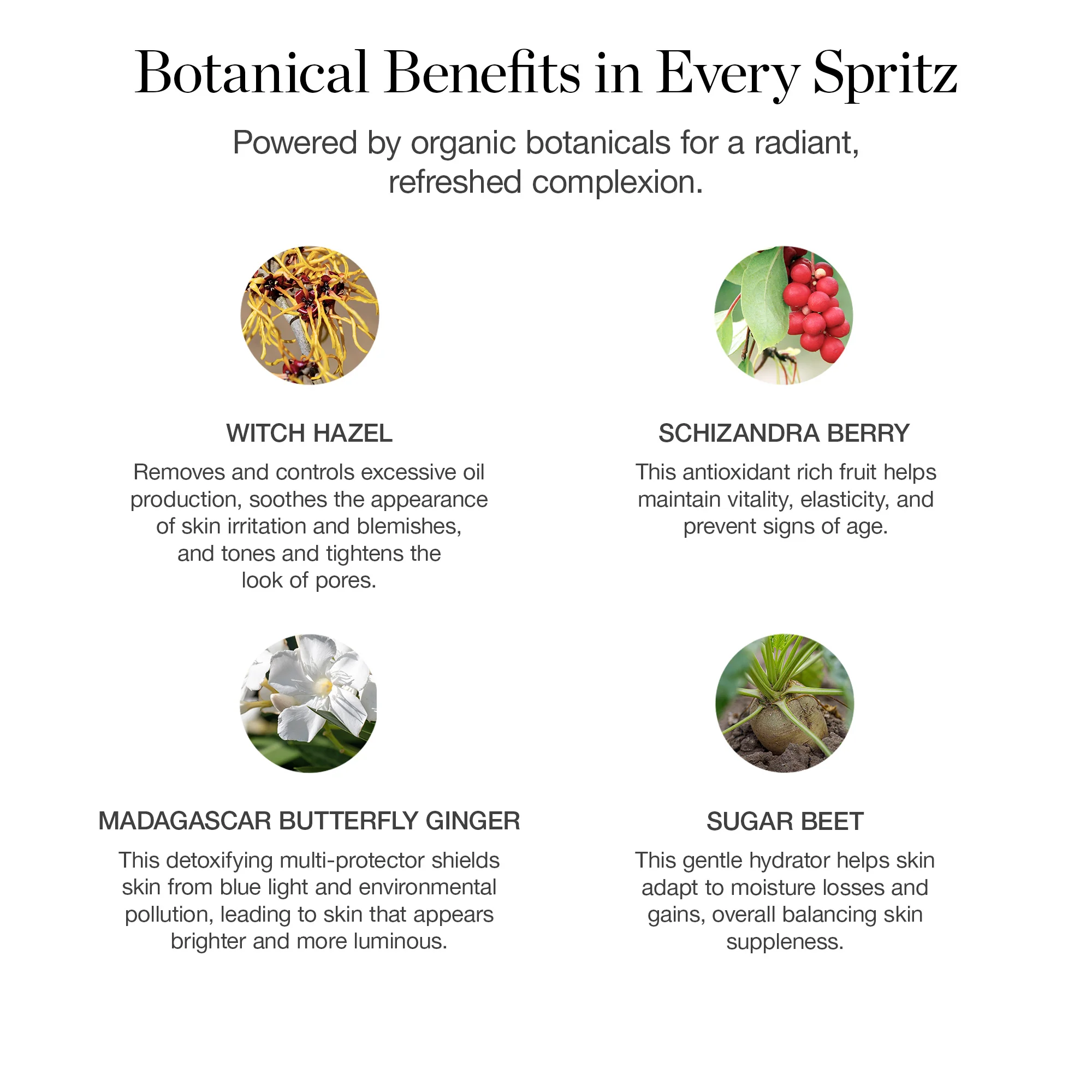 Luminous Botanical Face Mist - Image 5