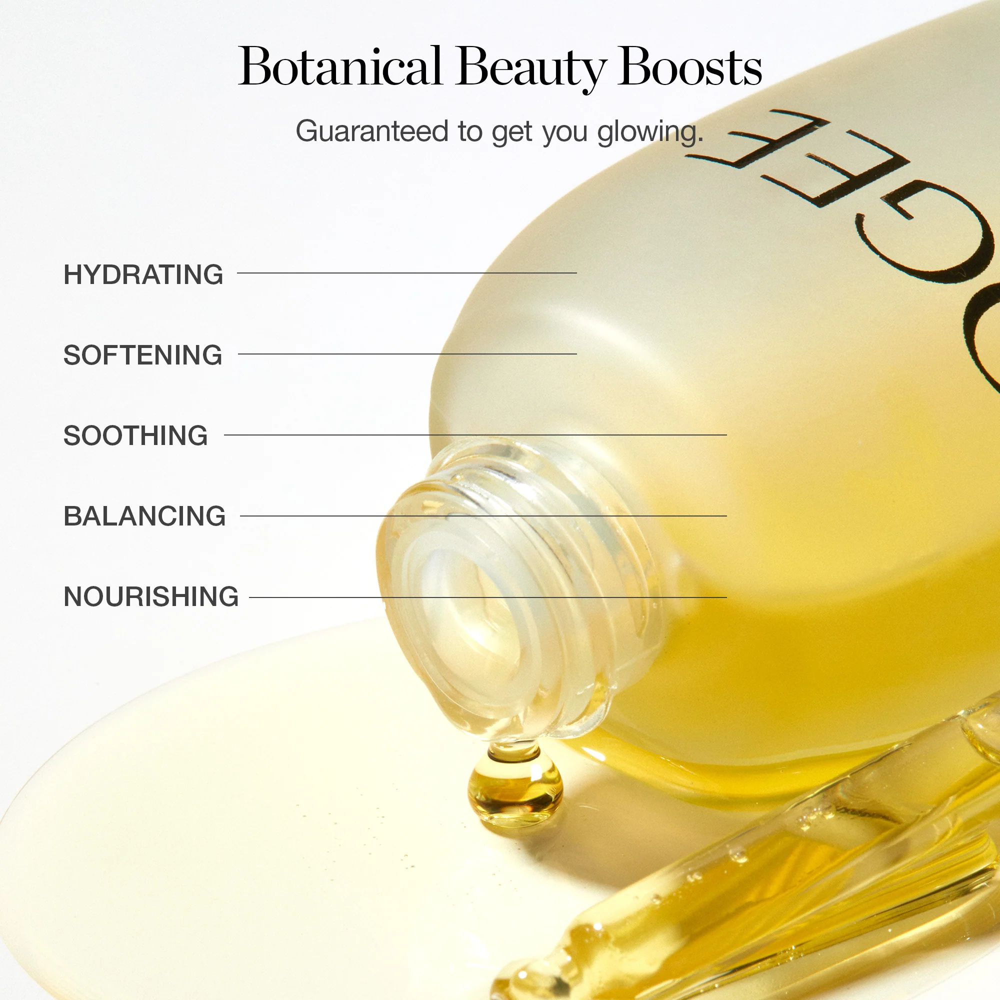 Jojoba Glow Face Oil - Image 3