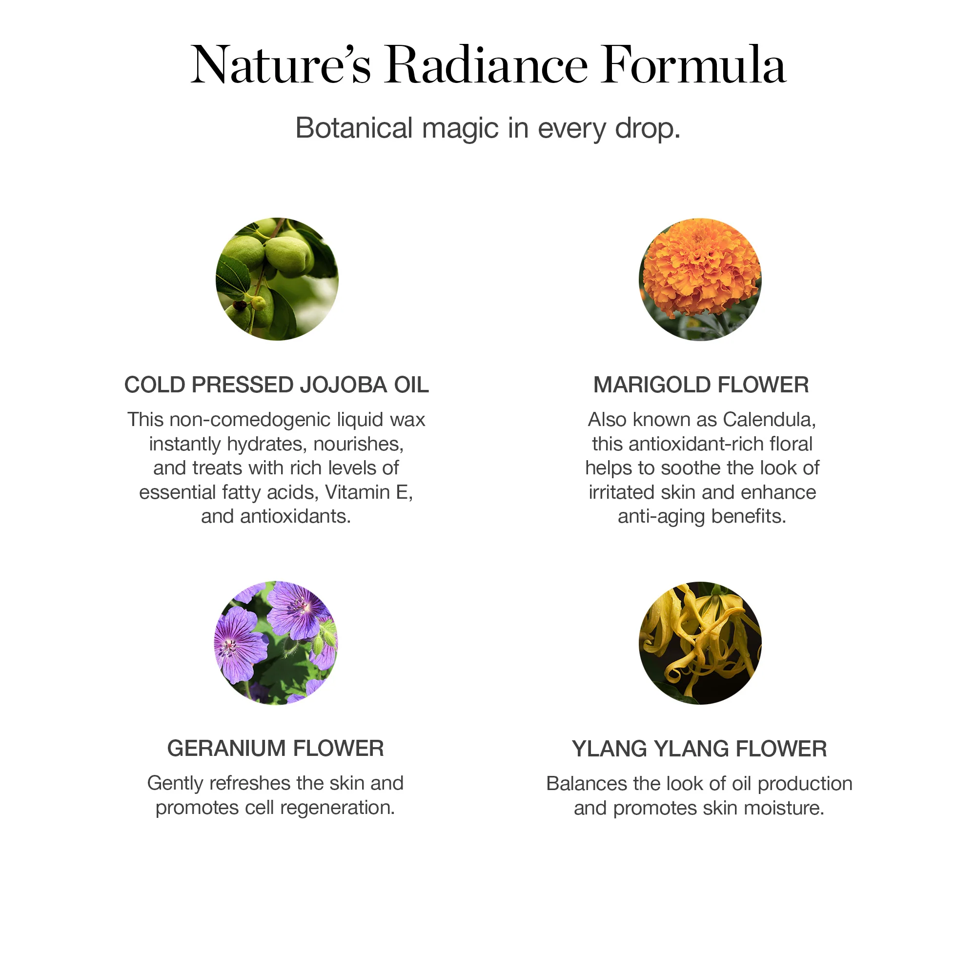 Jojoba Glow Face Oil - Image 4