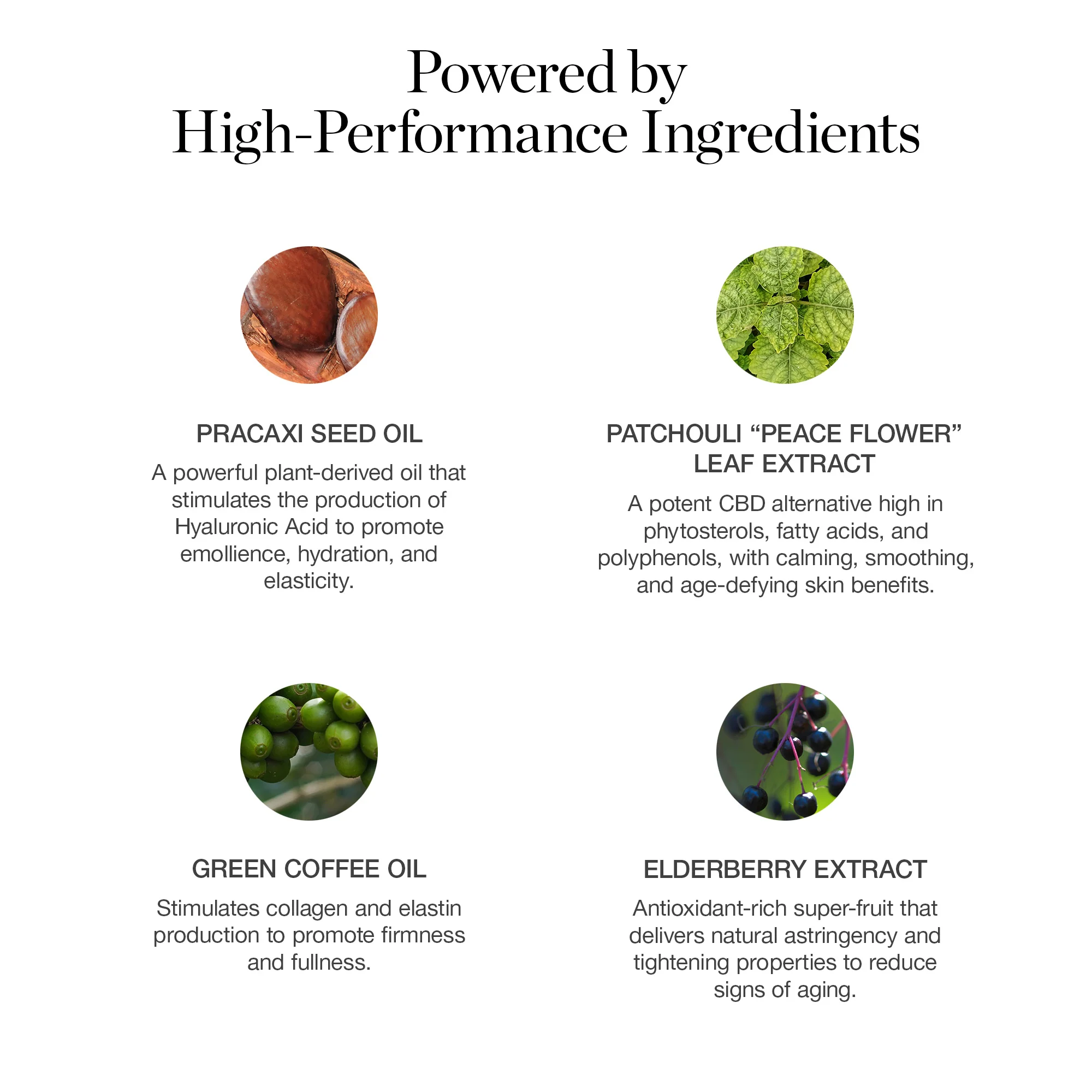 Sculpted Complexion Foundation Stick - Image 119