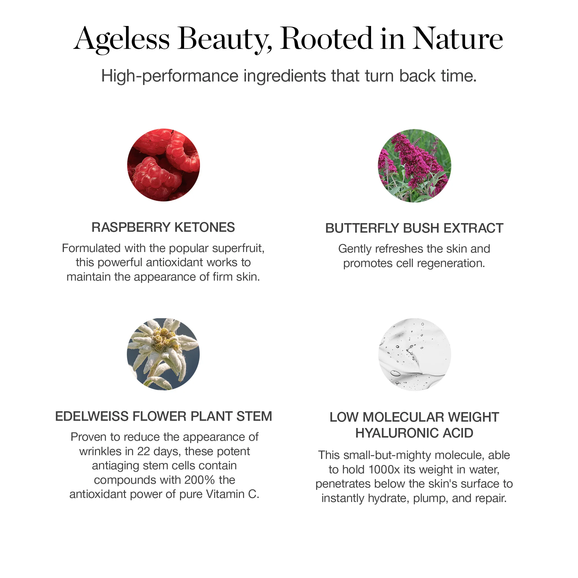 Seeds of Youth Serum - Image 5