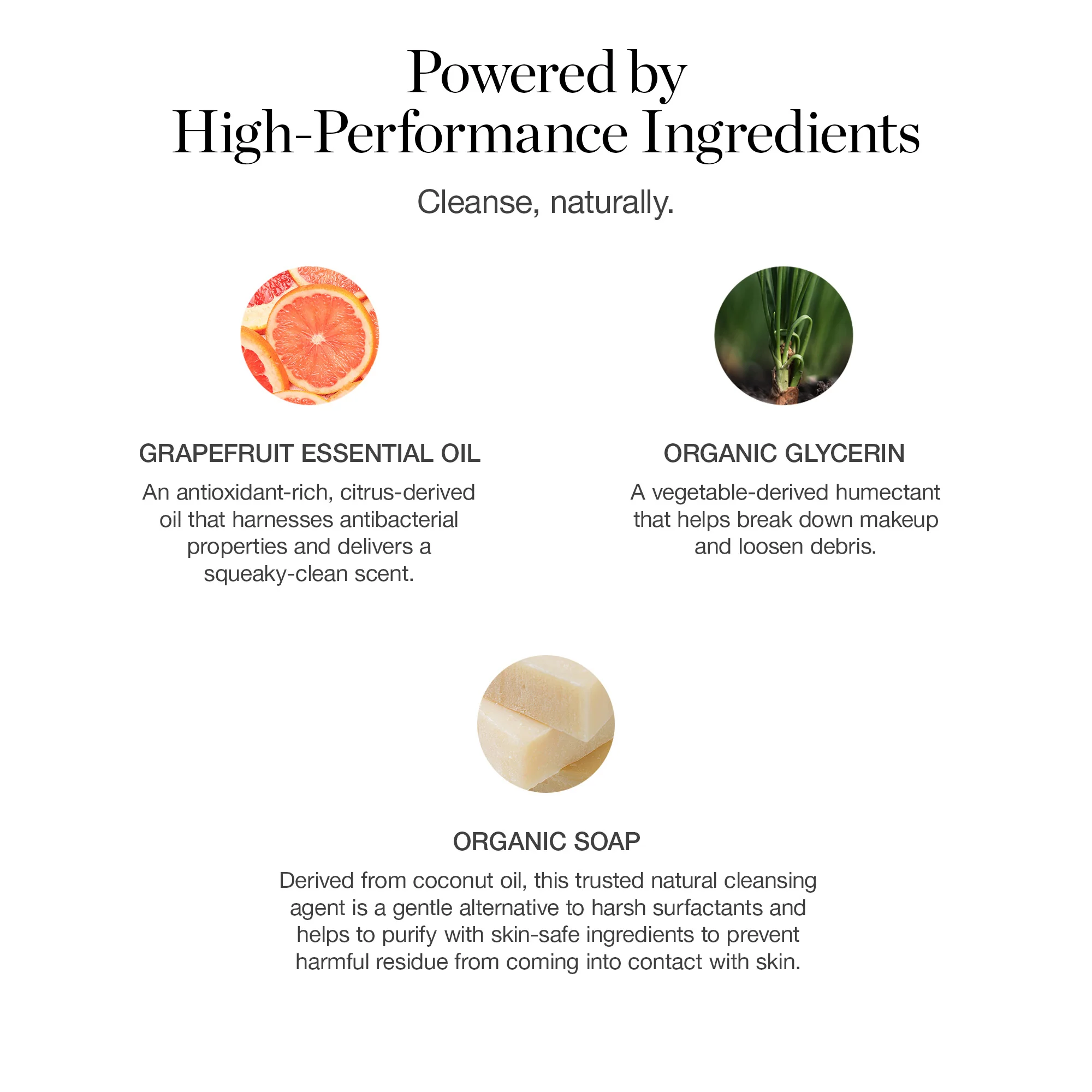 The Brush Cleanser - Image 4